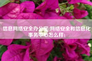 信息网络安全办公室(网络安全和信息化事务中心怎么样)