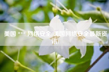 美国 *** 网络安全(美国网络安全最新资讯)