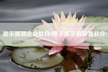 显示器调企业软件(电子显示屏设置软件)