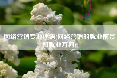 网络营销专业述语(网络营销的就业前景和就业方向)