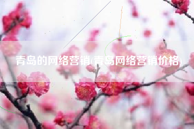 青岛的网络营销(青岛网络营销价格)