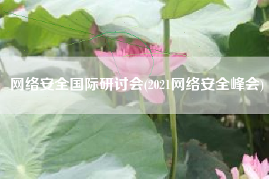 网络安全国际研讨会(2021网络安全峰会)