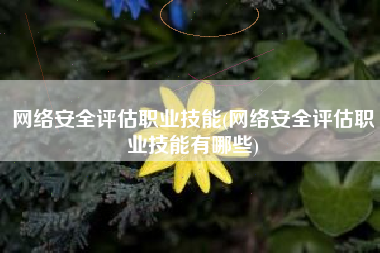 网络安全评估职业技能(网络安全评估职业技能有哪些)