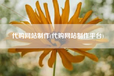 代购网站制作(代购网站制作平台)