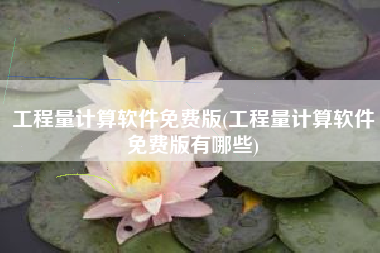 工程量计算软件免费版(工程量计算软件免费版有哪些)