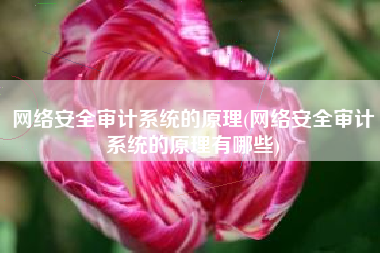 网络安全审计系统的原理(网络安全审计系统的原理有哪些)