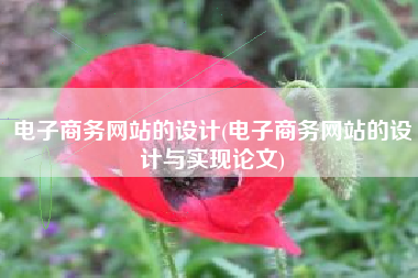 电子商务网站的设计(电子商务网站的设计与实现论文)