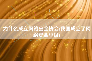 为什么成立网络安全协会(我国成立了网络安全小组)