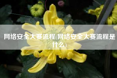 网络安全大赛流程(网络安全大赛流程是什么)