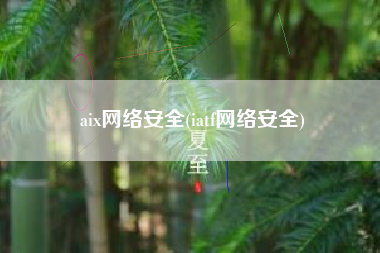 aix网络安全(iatf网络安全)