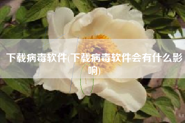 下载病毒软件(下载病毒软件会有什么影响)