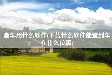 查车用什么软件(下载什么软件能查到车在什么位置)