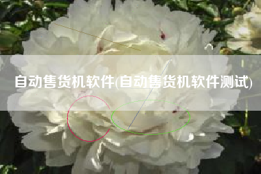 自动售货机软件(自动售货机软件测试)