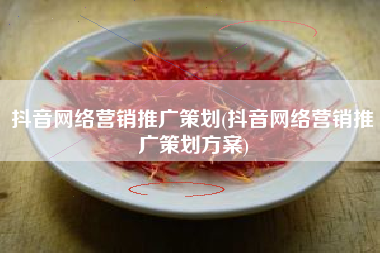抖音网络营销推广策划(抖音网络营销推广策划方案)