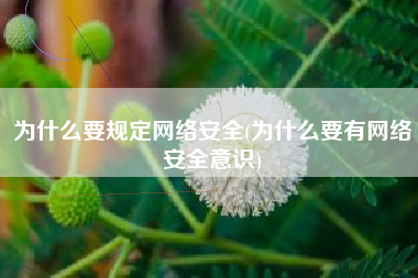 为什么要规定网络安全(为什么要有网络安全意识)