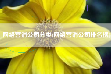 网络营销公司分类(网络营销公司排名榜)