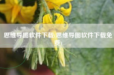 思维导图软件下载(思维导图软件下载免费)