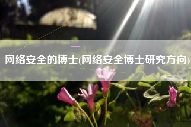 网络安全的博士(网络安全博士研究方向)