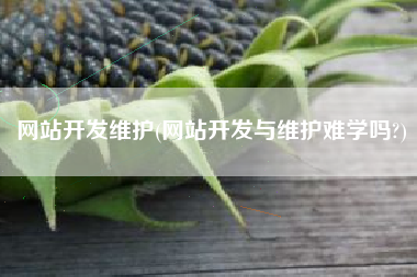 网站开发维护(网站开发与维护难学吗?)