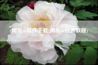 用友nc软件下载(用友nc安装教程)