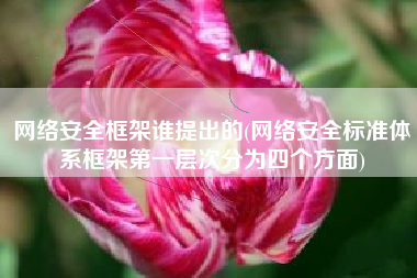 网络安全框架谁提出的(网络安全标准体系框架第一层次分为四个方面)