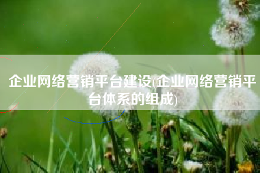 企业网络营销平台建设(企业网络营销平台体系的组成)