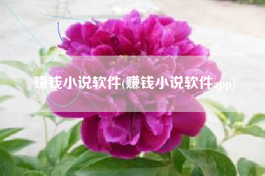 赚钱小说软件(赚钱小说软件app)
