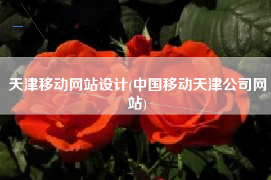 天津移动网站设计(中国移动天津公司网站)