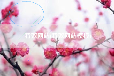 特效网站(特效网站模板)