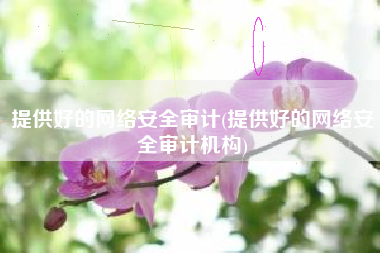 提供好的网络安全审计(提供好的网络安全审计机构)