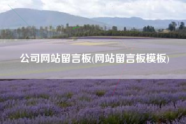 公司网站留言板(网站留言板模板)