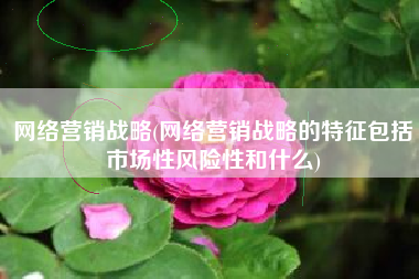 网络营销战略(网络营销战略的特征包括市场性风险性和什么)
