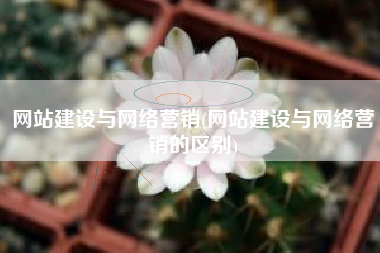 网站建设与网络营销(网站建设与网络营销的区别)