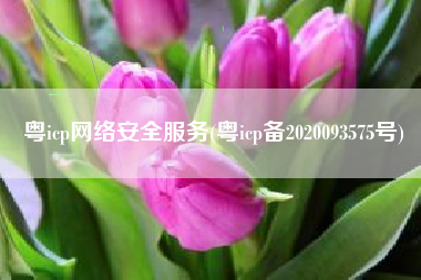 粤icp网络安全服务(粤icp备2020093575号)