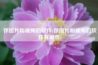 存图片和视频的软件(存图片和视频的软件有哪些)