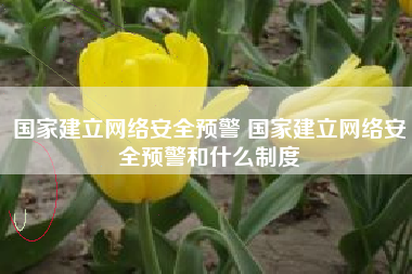 国家建立网络安全预警 国家建立网络安全预警和什么制度