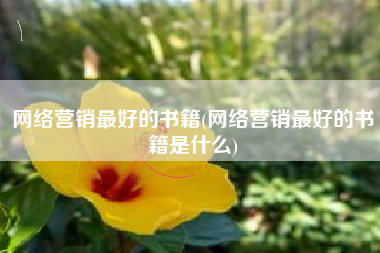 网络营销最好的书籍(网络营销最好的书籍是什么)
