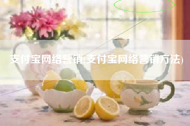 支付宝网络营销(支付宝网络营销方法)