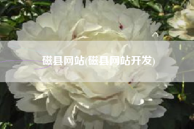 磁县网站(磁县网站开发)