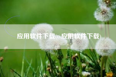 应用软件下载(tv应用软件下载)