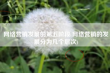 网络营销发展的第五阶段(网络营销的发展分为几个层次)