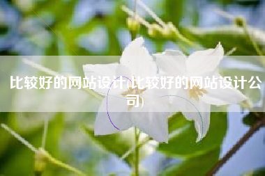 比较好的网站设计(比较好的网站设计公司)