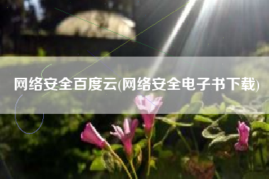网络安全百度云(网络安全电子书下载)