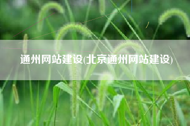 通州网站建设(北京通州网站建设)