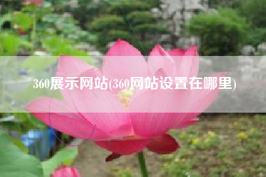 360展示网站(360网站设置在哪里)