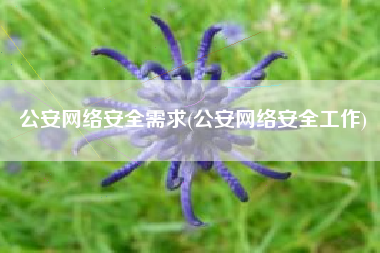 公安网络安全需求(公安网络安全工作)