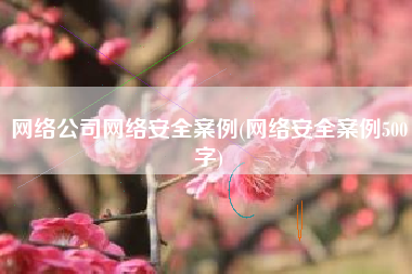 网络公司网络安全案例(网络安全案例500字)