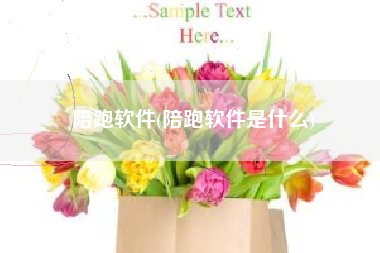 陪跑软件(陪跑软件是什么)