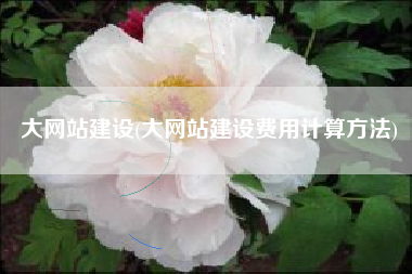 大网站建设(大网站建设费用计算方法)