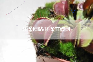 怀柔网站(怀柔在线网)